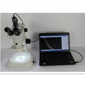 AM645S體視顯微鏡